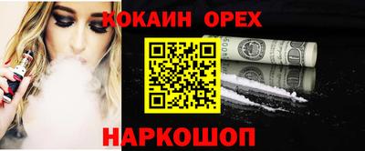 молекула духа Кингисепп