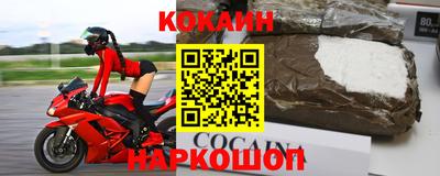 молекула духа Кингисепп