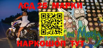 молекула духа Кингисепп