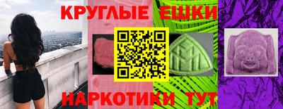 молекула духа Кингисепп
