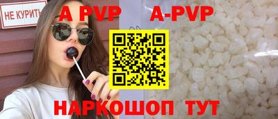 молекула духа Кингисепп