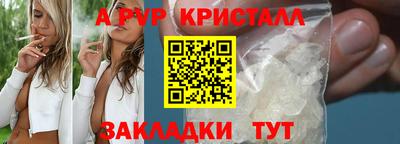 молекула духа Кингисепп