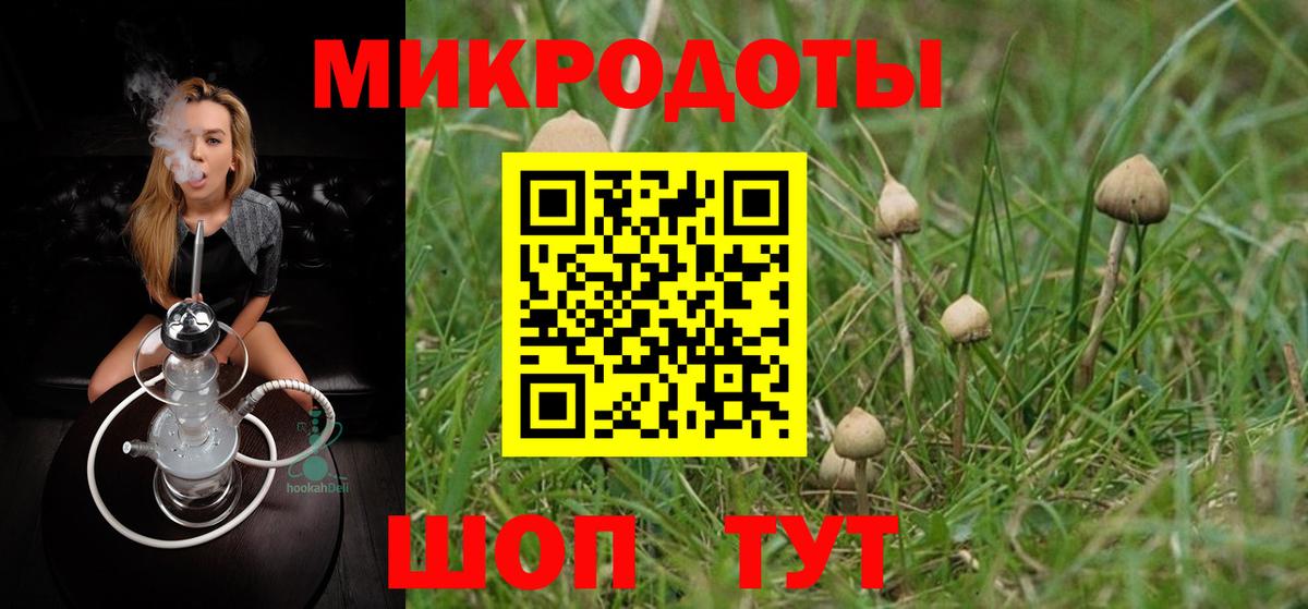 Галлюциногенные грибы GOLDEN TEACHER  Вход с VPN  Галлюциногенные грибы мухоморы  Азов 